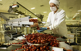Complexos Industriais